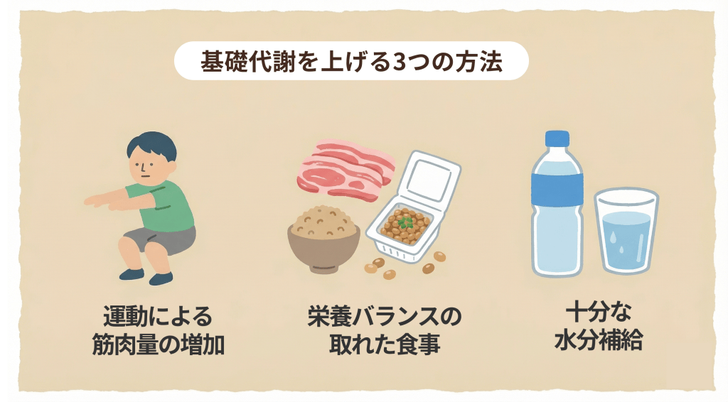 基礎代謝を上げる3つの方法 運動による筋肉量の増加、栄養バランスの取れた食事、十分な水分補給