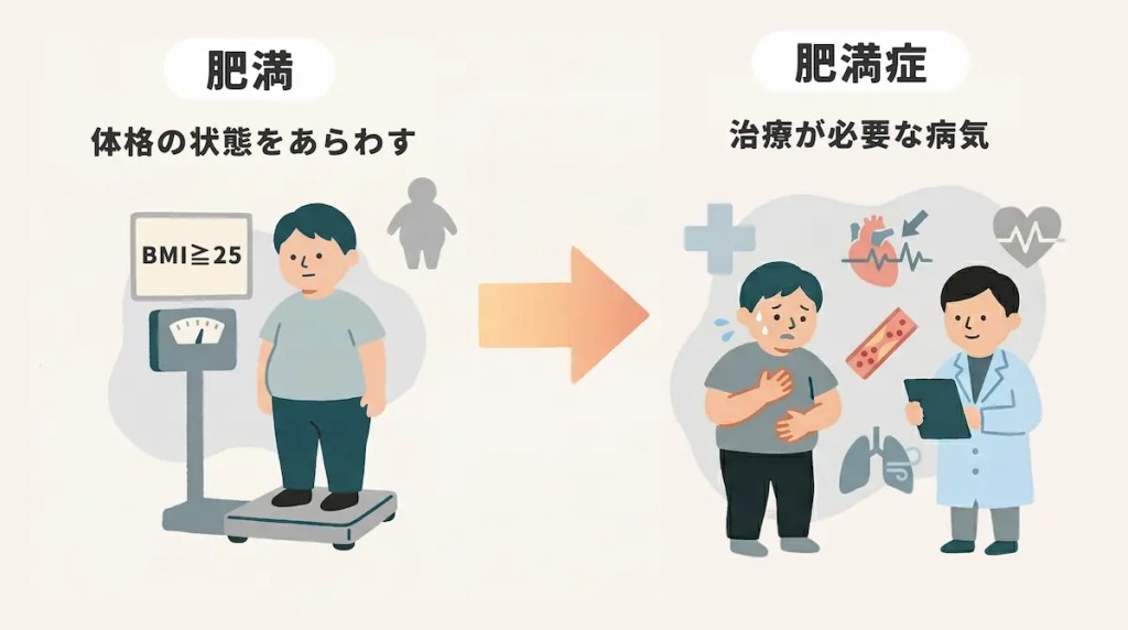 肥満:体格の状態をあらわす　肥満症:治療が必要な病気