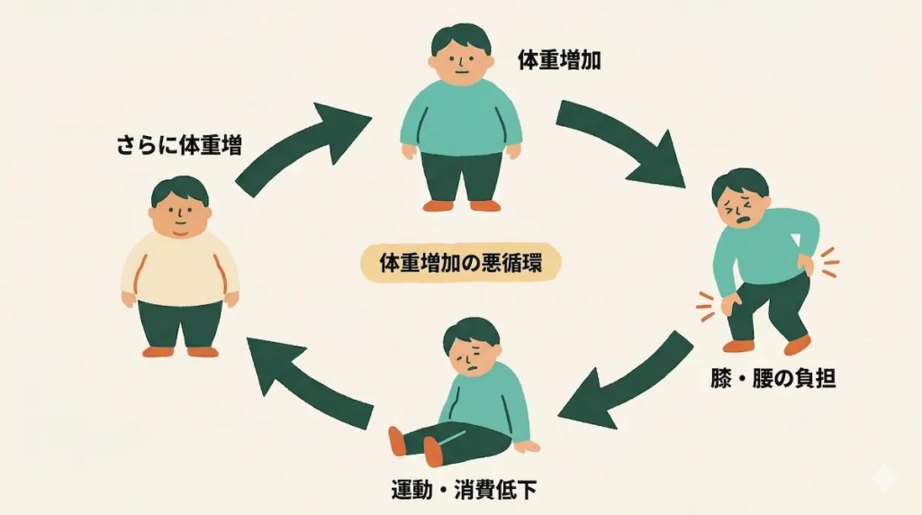 体重増加の悪循環:体重増加→膝・腰の負担→運動・消費低下→さらに体重増