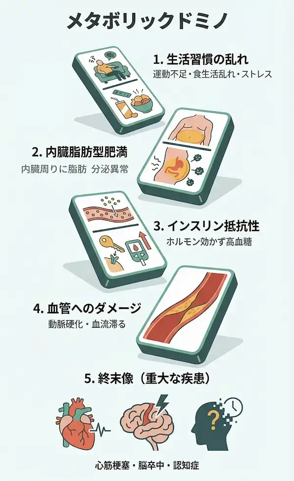 メタボリックドミノ:1 生活習慣のみだれ→2:内臓脂肪型肥満→3:インスリン抵抗性→4:血管へのダメージ→5:重大な疾患