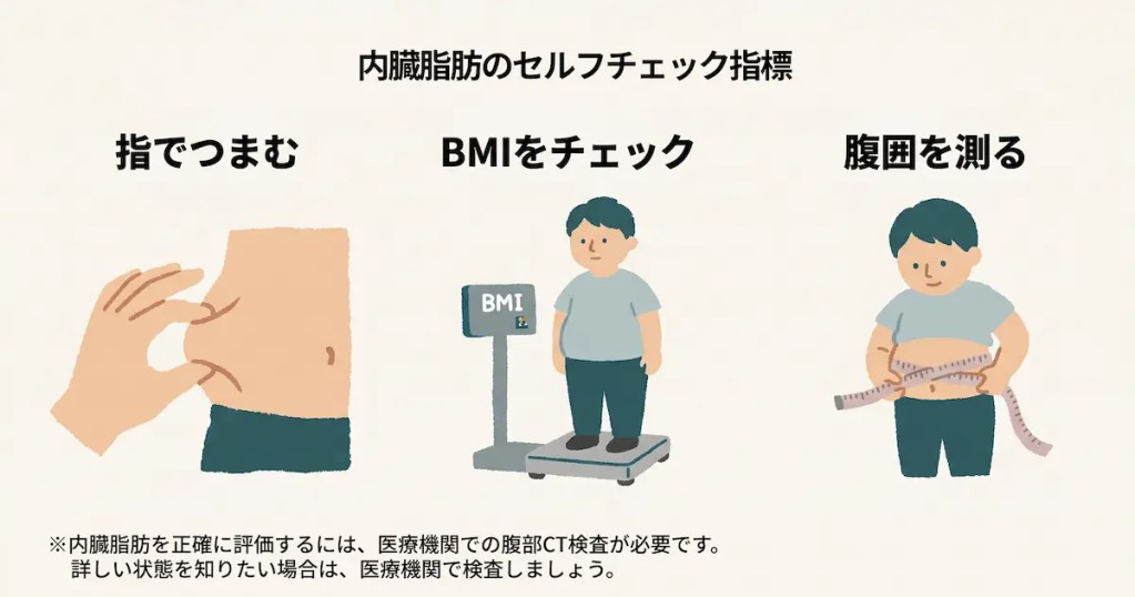 内臓脂肪のセルフチェック指標:指でつまむ、BMIをチェック、腹囲を測る