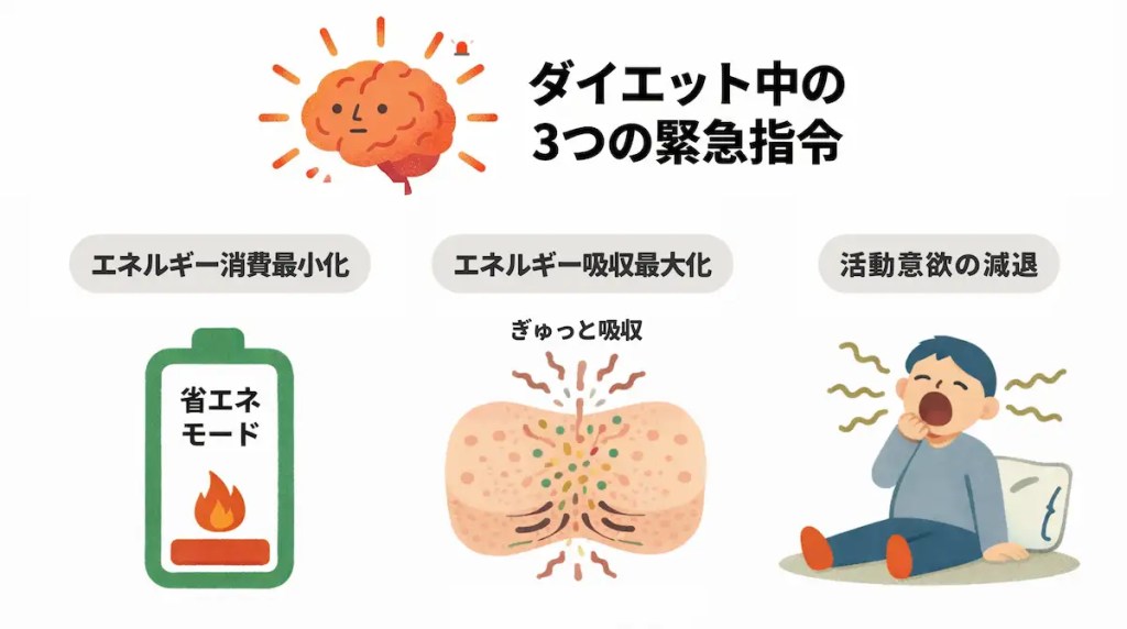 ダイエット中の3つの緊急指令:エネルギー消費最小化、エネルギー吸収最大化、活動意欲の減退
