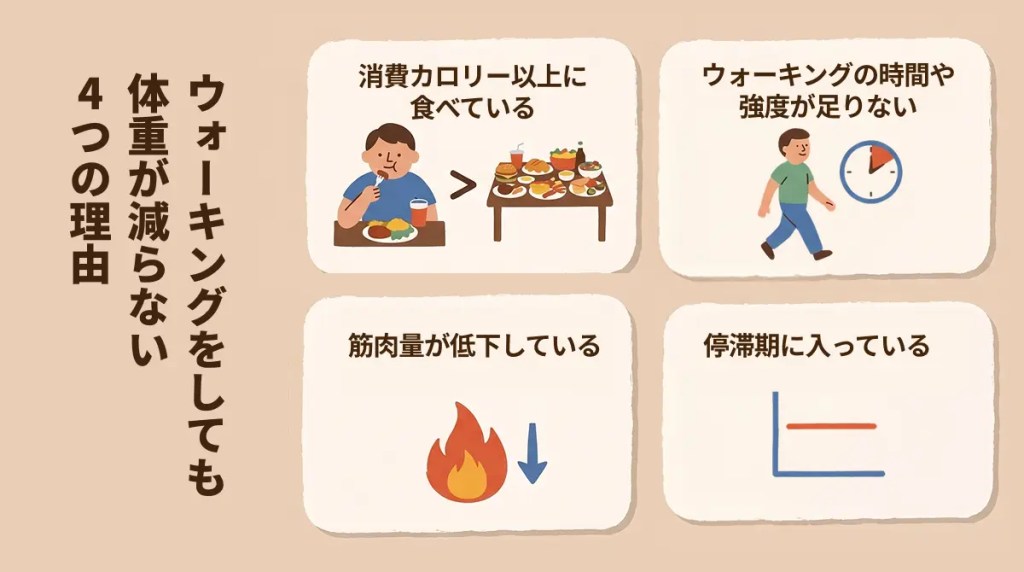 ウォーキングをしているのに体重が減らない理由
