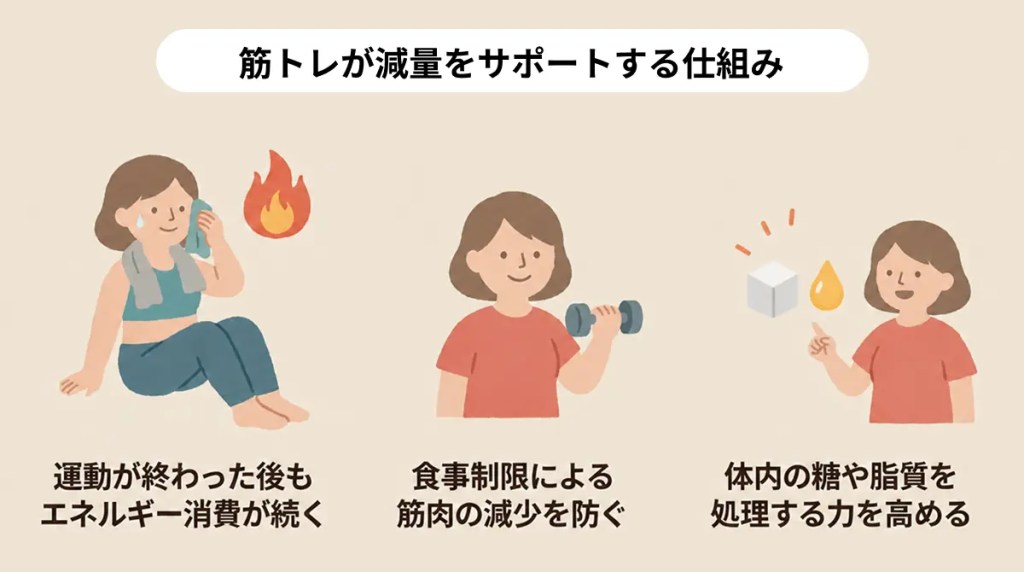 筋トレのダイエット効果
