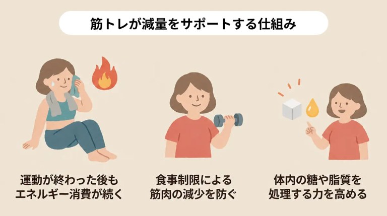 筋トレのダイエット効果