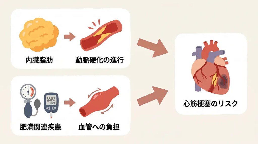 肥満が心筋梗塞のリスクを高める理由の説明図