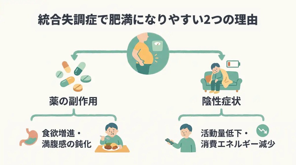 統合失調症で肥満になりやすい理由の説明図