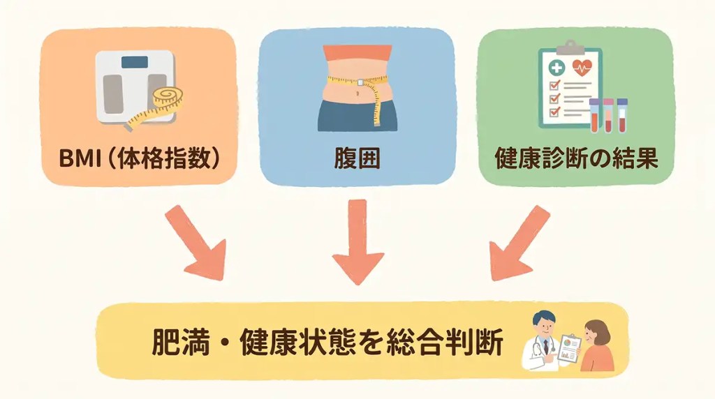 肥満・健康状態の判断に関わる要素