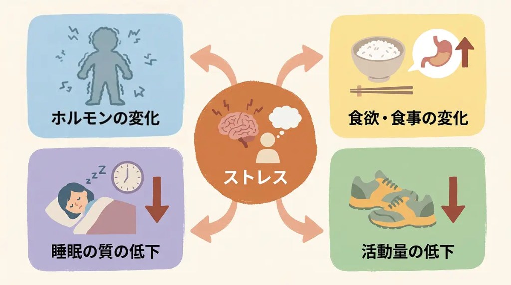 ストレスによって起こる4つの変化